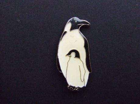 Pinguin met jong